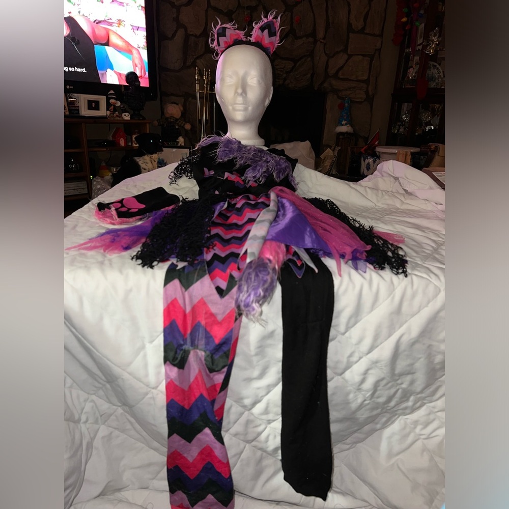 Spirt Of Halloween Sassy Cat Costume